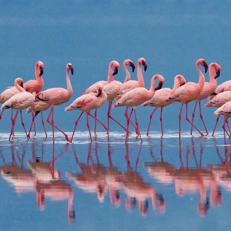 Meigama, Loft With Parking In Historic Center Apartamento