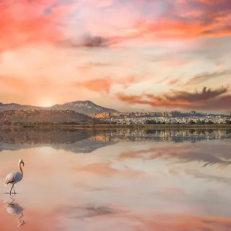 Apartamento Meigama, Loft With Parking In Historic Center